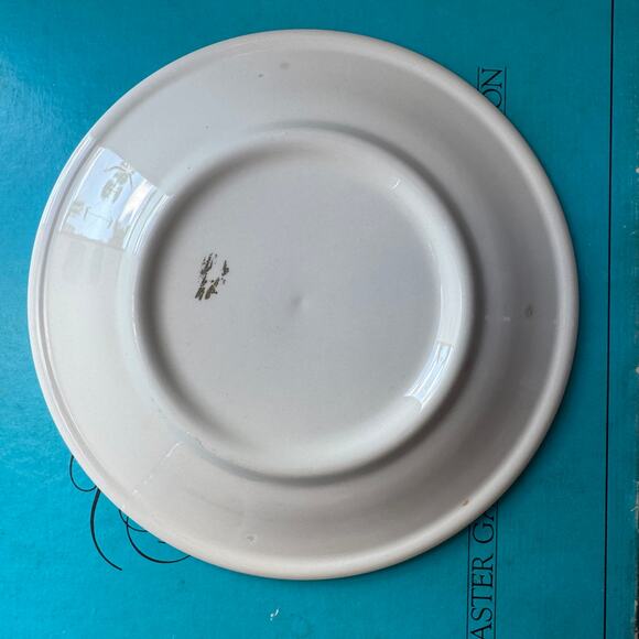 Vintage Bread and Butter Dessert Plate by Homer Laughlin in New Paradise Pattern - Picture 3 of 6